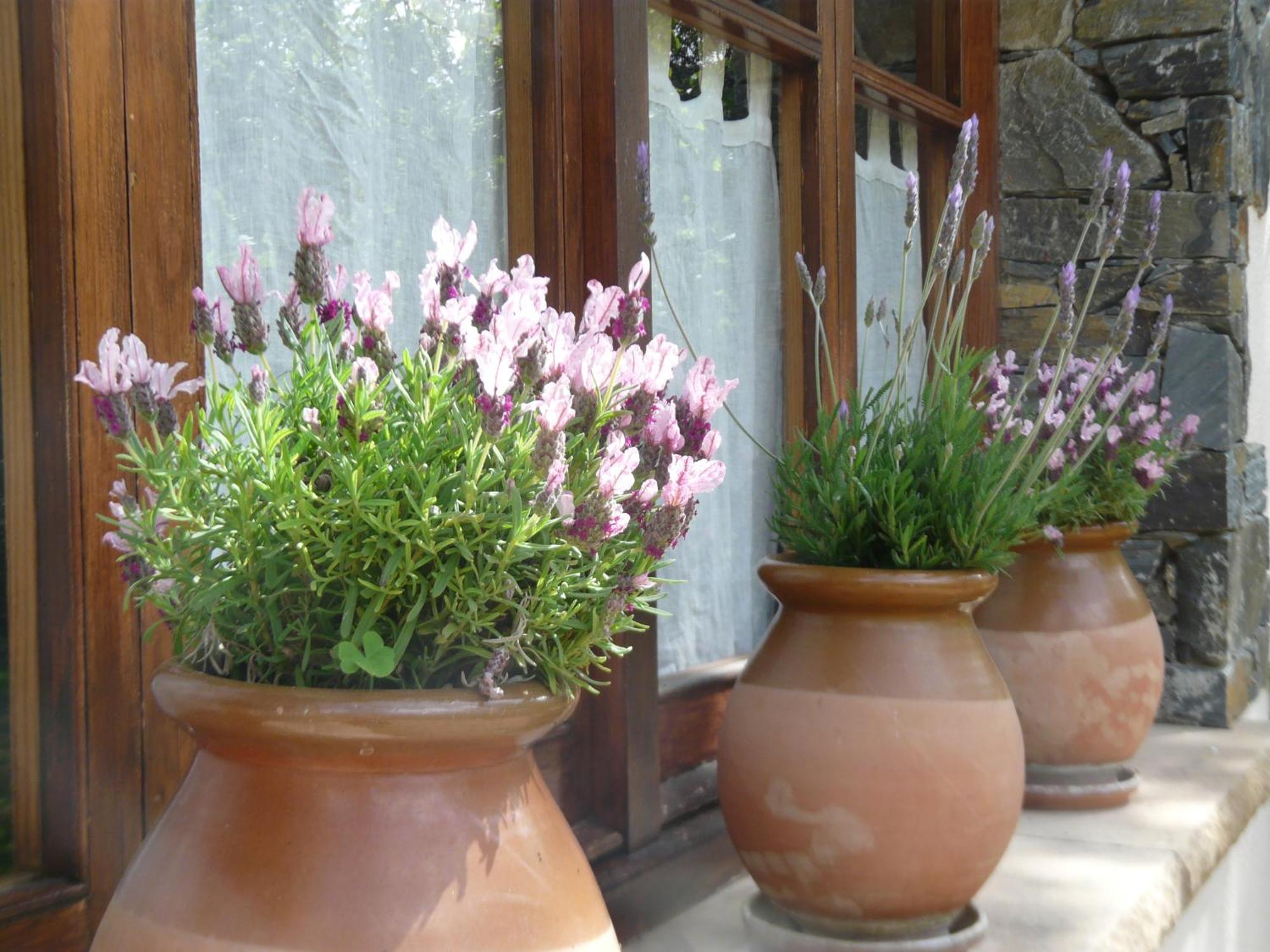 Can Barrina Montseny Εξωτερικό φωτογραφία