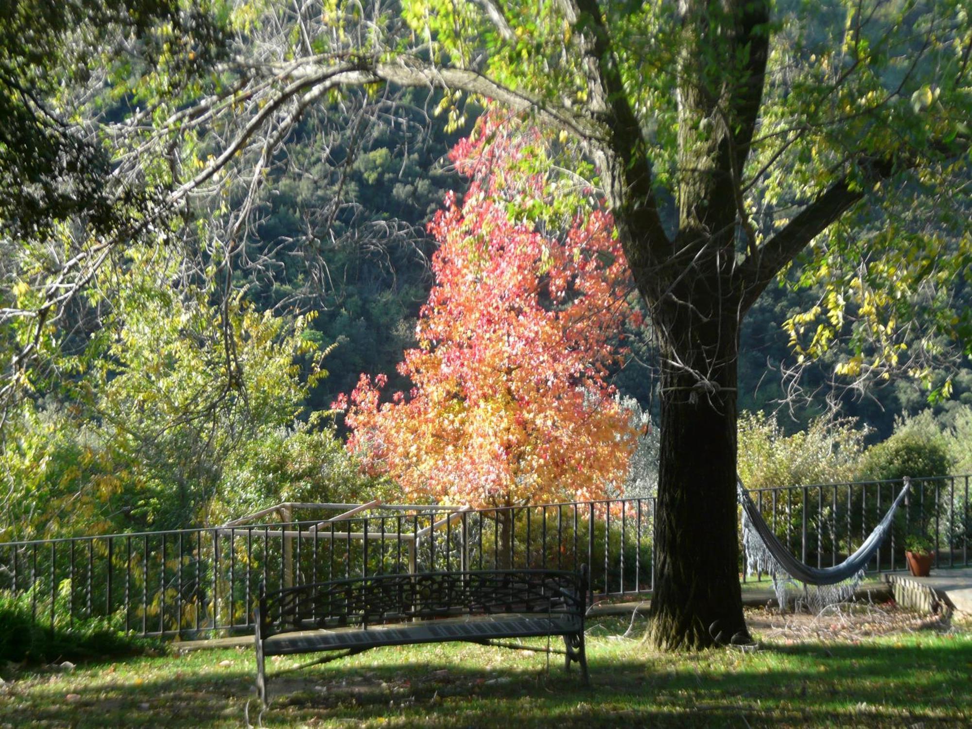 Can Barrina Montseny Εξωτερικό φωτογραφία